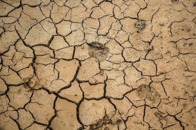 Photo arid soil