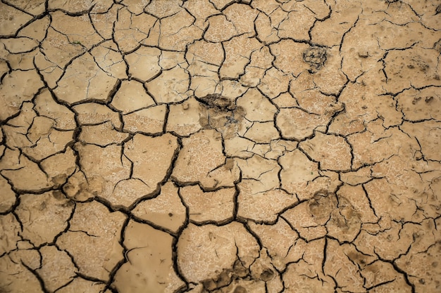 Foto terreno arido