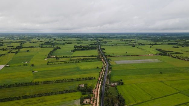 Ariel uitzicht op rijstvelden in thailand