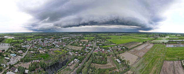 Ariel view  of  rice fields in thailand