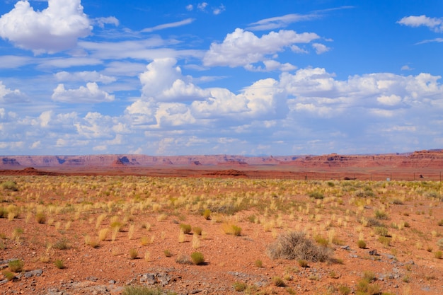 アリゾナ砂漠のパノラマ