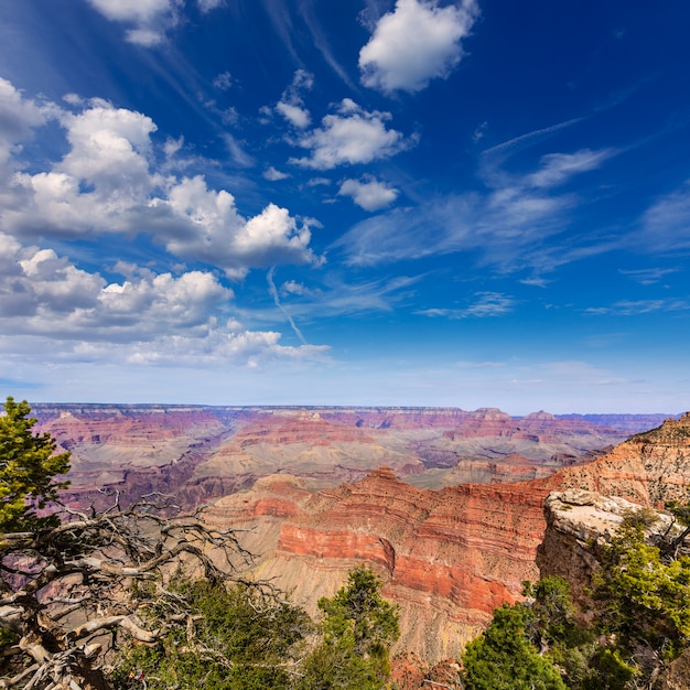 Arizona Grand Canyon Park Mother Point en Amphitheater