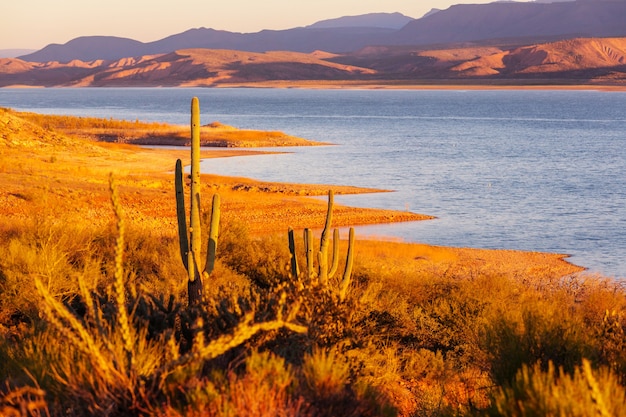 Arizona landschappen, VS