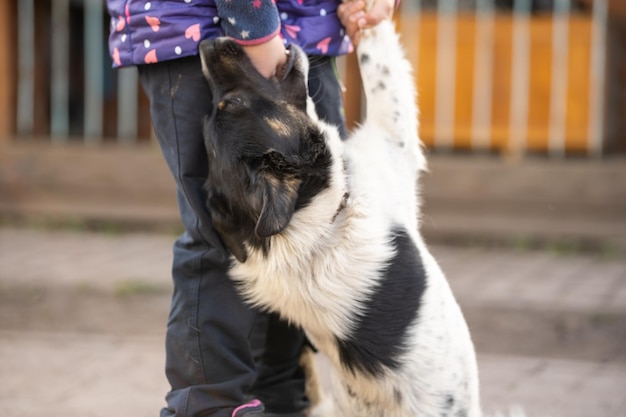 Arm klein meisje met een hond in het dorp