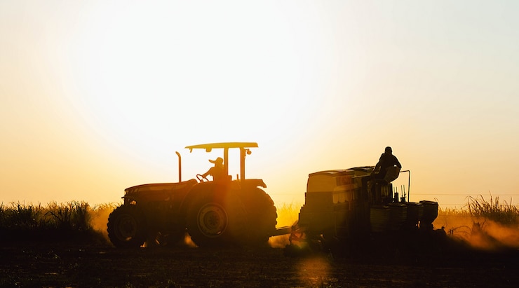 arm workers work on planting the crop Agriculture is one of the main bases of the Brazilian economy