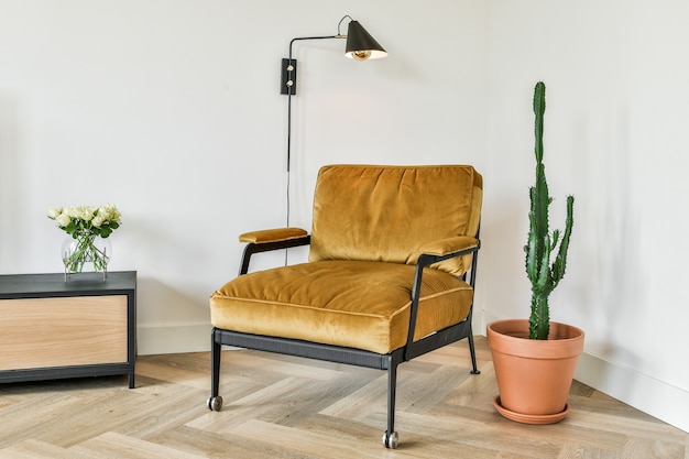 Armchair, lamp, and cactus look elegant together