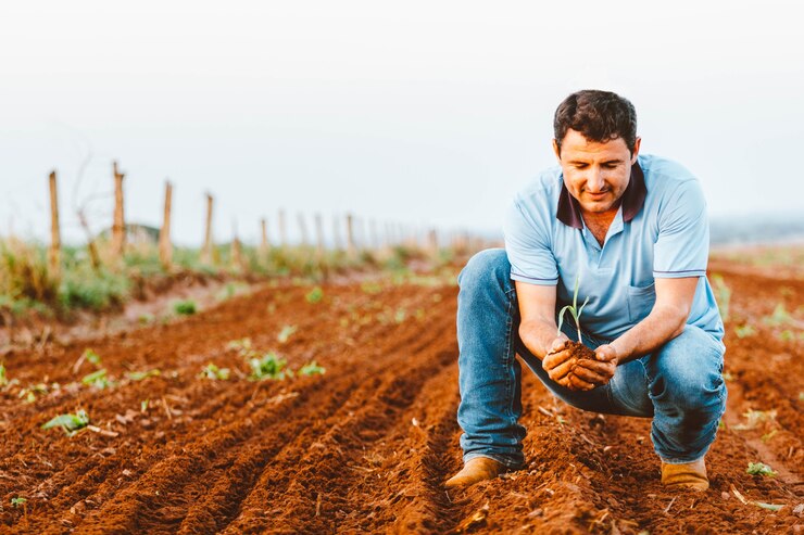 armer holds a corn plant in the field Agriculture is one of the main bases the Brazilian economy