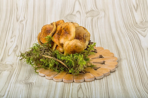 Armillaria wild mushroom in the wooden background