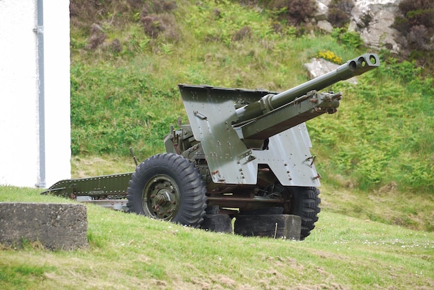 Foto il cannone dell'esercito sull'erba