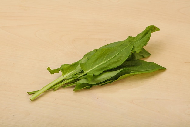 Foto aroma fresco mucchio di acetosella verde