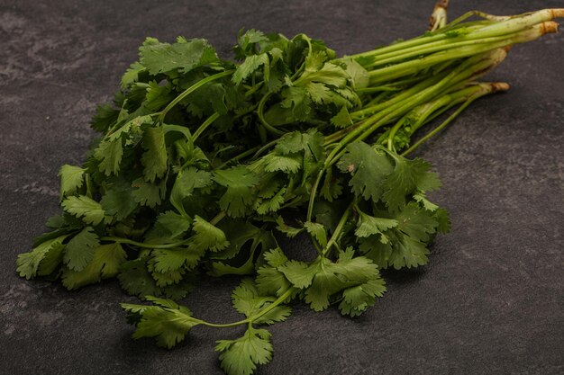 Aroma Green coriander or cilanto leaves heap