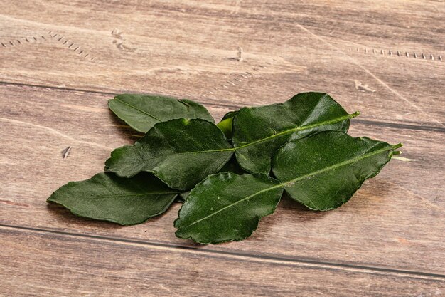 Aroma seasoning asian kaffir lime leaves