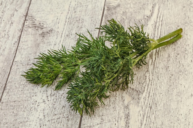 Aroma seasoning Green Dill branch