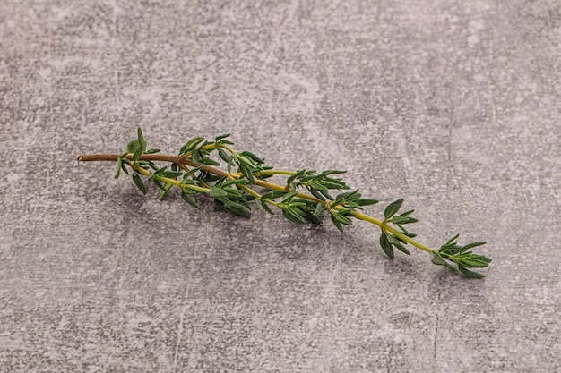 Aroma seasoning thyme stem with leaves