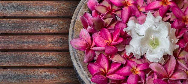 Aromatheraphy frangipani bloem op een kom