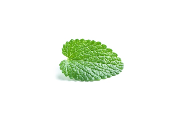 Aromatherapy concept mint isolated on white background