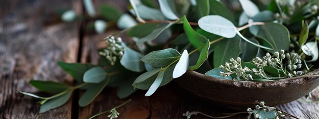 Photo aromatherapy for immune system and air purifier with eucalyptus leaves