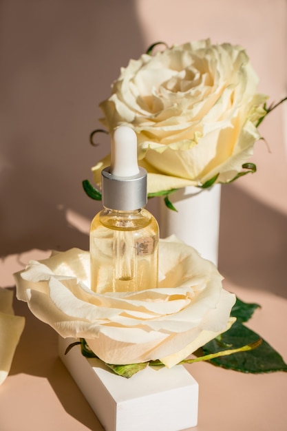 Aromatherapy. White blossom and petals, rose essential oil in glass bottle. . High quality photo