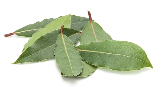 Aromatic bay leaves isolated on white background cutout