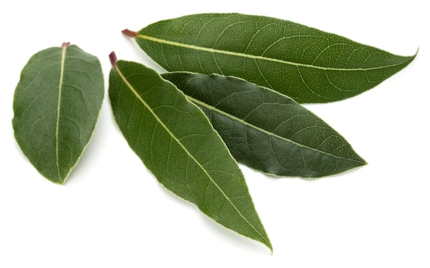 Aromatic bay leaves