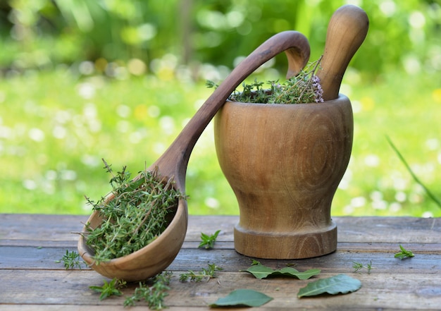 Aromatic herb in a wooden mortar and spoon on a table in garden