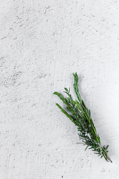 Aromatic herbs. Flat lay