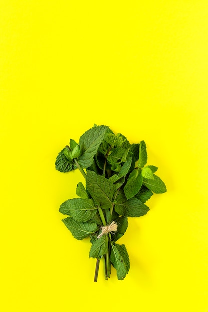 Aromatic herbs. Flat lay