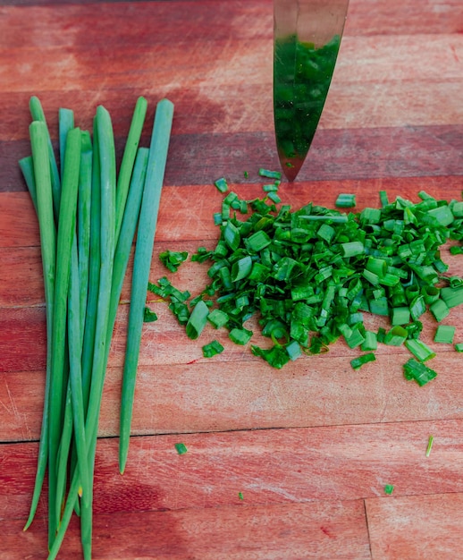 Aromatic herbs and spices used in food teas medicinal religious purposes