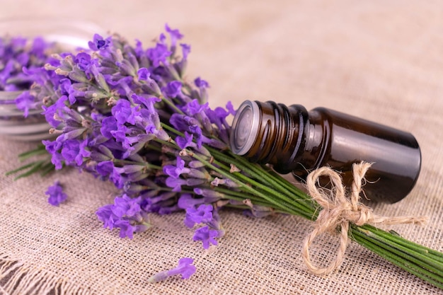 Aromatic lavender oil. And a bouquet of lavender flowers.