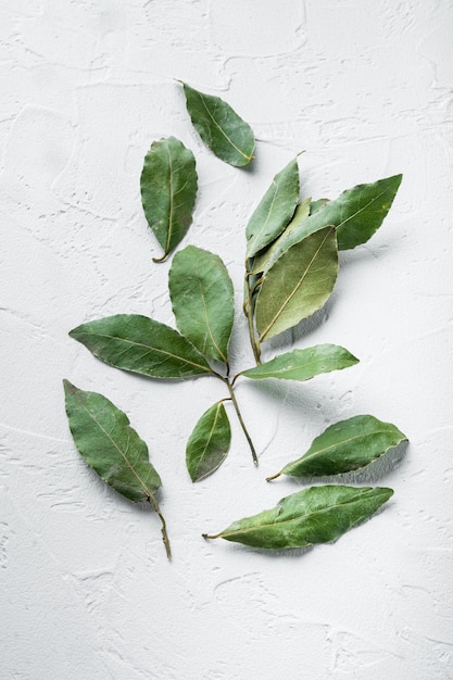 Aromatic organic bay leaves set, on white stone  background