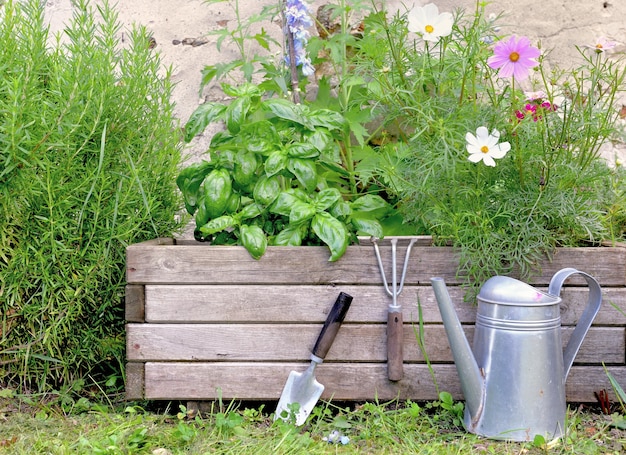 Aromatic plant and and flowers in a wooden gardener with gardening tools