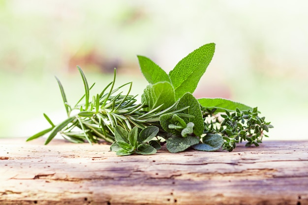 Aromatische bos van verse pittige kruiden Rozemarijn salie tijm en oregano geplaatst op oude plank van hout Lente versheid voor heerlijk koken Kopieer ruimte