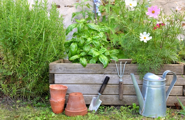 Aromatische plant en en bloemen in een houten tuinman met tuingereedschap