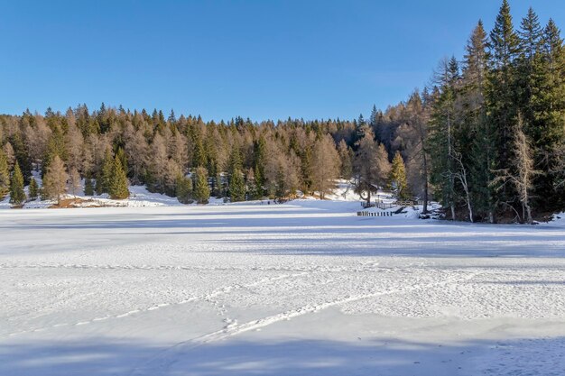 Around Felixer Weiher