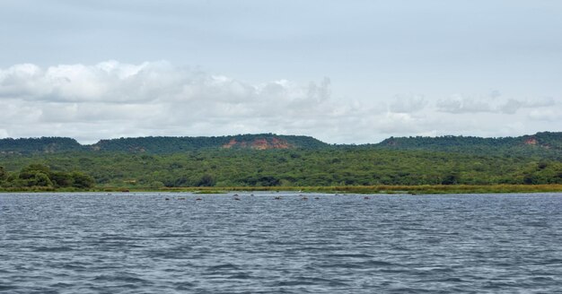 around Murchison Falls National Park in Uganda