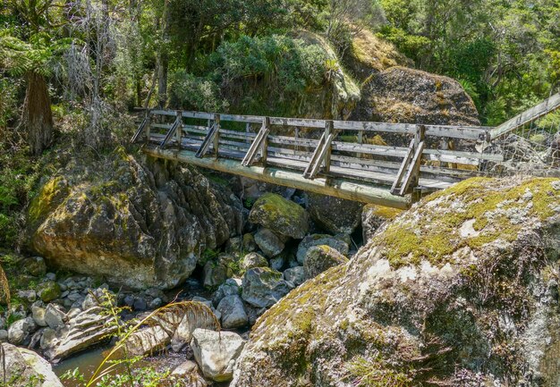 Photo around wairere boulders in new zealand