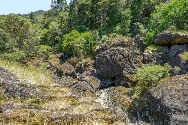 Photo around wairere boulders in new zealand