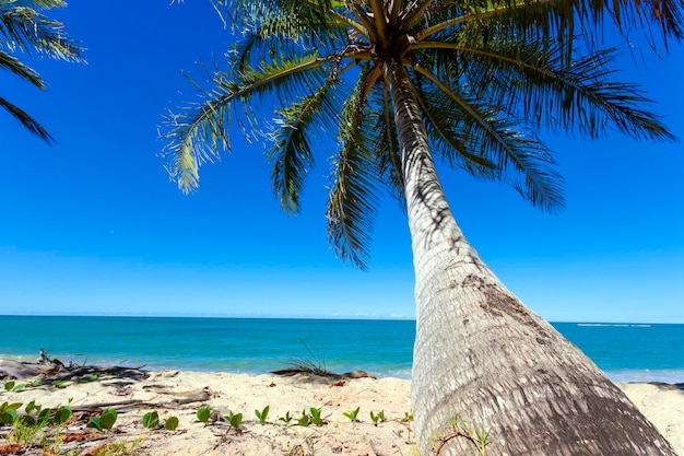 Arraial d'Ajuda is a district of the Brazilian municipality of Porto Seguro on the coast of the state of Bahia