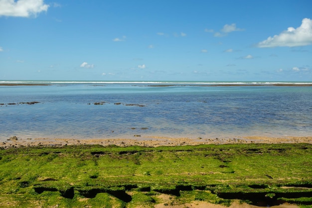 Arraial dajuda beach in the town of porto seguro bahia state brazil