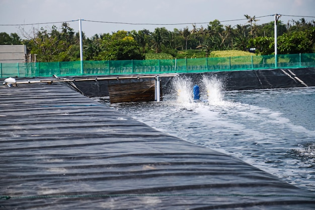 バナメイエビの池に水車を利用した循環エアレーションシステムを設置
