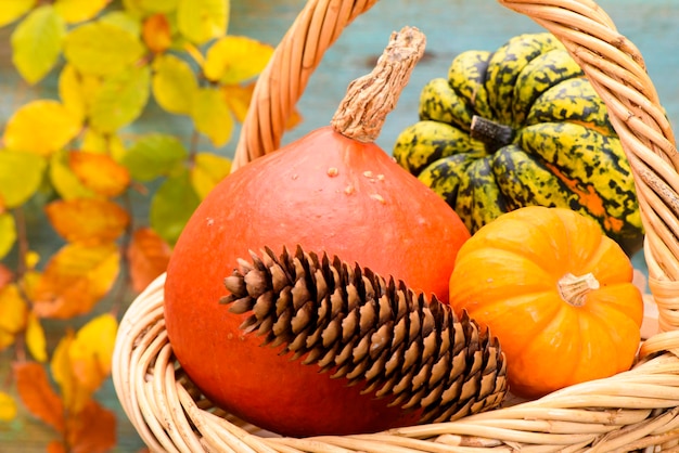 Arrangement of autumn fruits and decoration