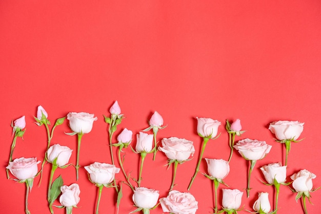 アレンジメント 美しいピンクのバラ 赤い背景に花のバラのフレーム