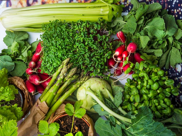 Arrangement of different tasty vegetables background Healthy Food Concept Harvest