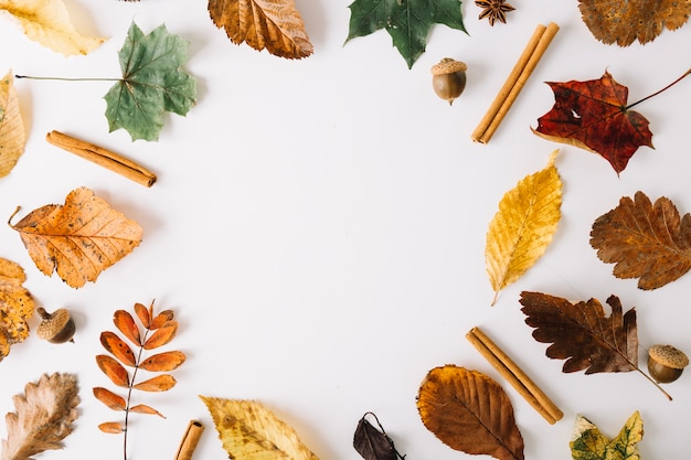 Photo arrangement of leaves and condiments