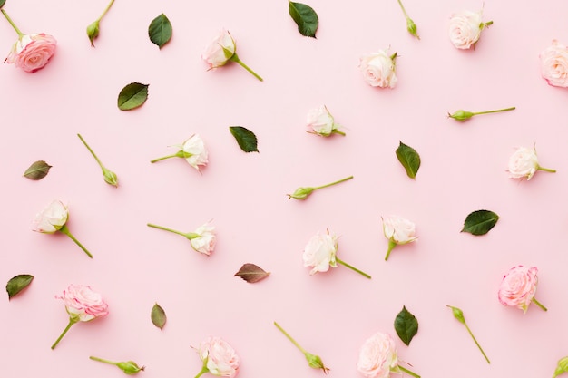 Photo arrangement of leaves and flowers top view