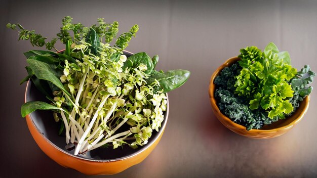 Arrangement of nutritious plant in bowl 5