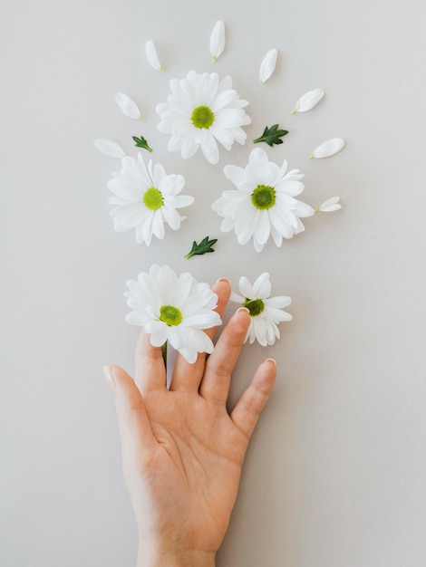 Arrangement of optimism concept with flowers