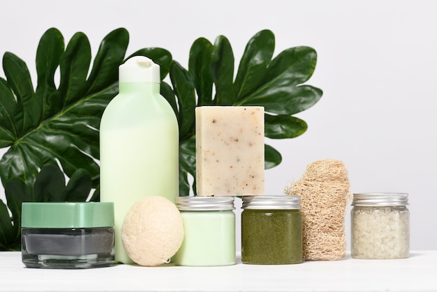 Arrangement of skin care products with palm leaves