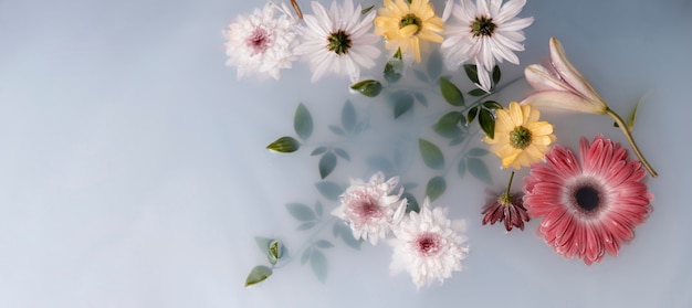 Photo arrangement of therapeutical flowers