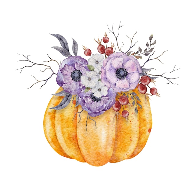 Arrangement with Orange pump floral bouquet in Pumpkin Hand drawn illustration botanical composition